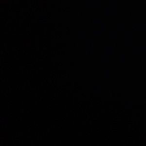 Meet your Posher, Samuel